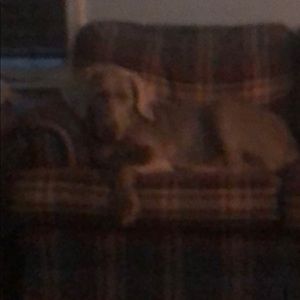 Meet your Posher, Christina